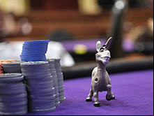 i donkey, principianti del poker